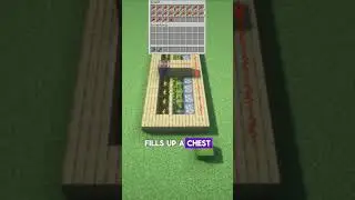 This Auto Melon & Pumpkin Farm Fills Up FAST! 🍉🎃 #minecraft #minecrafttutorial