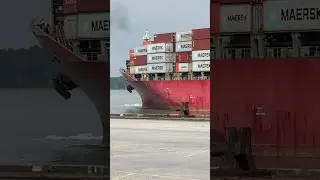 Container Ship #viral #reel #ship #video #ytshortsvideo