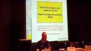 Los bosques como sumideros de CO2. Tendencias REDD+
