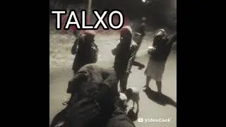 TALXO _X_ ZOLA 