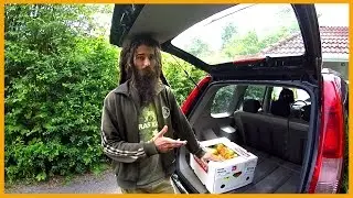 BUYING BANANAS IN NORWAY - BULK SHOPPING