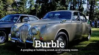 How Does Burble Look? | What is Burble? | How to Say Burble in English?