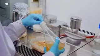 MycoSoft