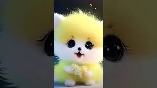 cute cat support me please bhai log ❤️❤️ # shorts #video #viral