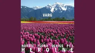 Heroine II (Cry for You)