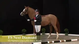 FS Next Diamond | Hengstschau 2022 | Ferienhof Stücker