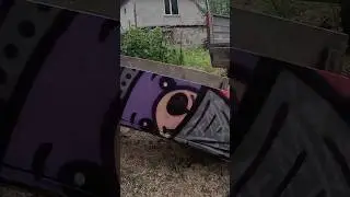 POV: Duvarda Hızlı Morik Ayı Etiketi 🐻💨 | #shorts