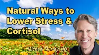 Natural Ways to Lower Stress & Cortisol - Michael Murray, ND
