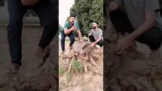 New viral moj comedy video/moj funny video