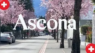 Ascona Locarno Spring Cherry Blossom 4K