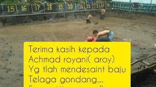 Juara babon