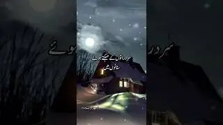 winter poetry | winter vibes | winter night | sard raat | اُردو شاعری | poetry status| dukhi status
