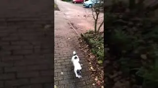 Billy