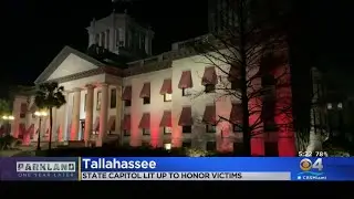 Florida Capitol In Orange