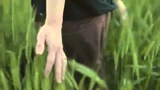 field exploring with unfit music
