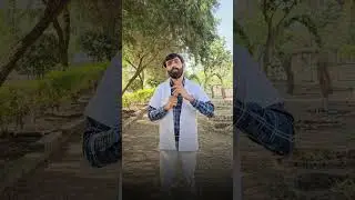 Sirf Mada Machhar Kyun Kaatta Hai? 🤯 Dengue&ndash;Malaria Ka Sach
