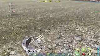 ARK UnOfficial PvP | 똥덕여대 | J0t Server |  my aim is gone