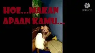 OMG ... what do you eat baby monpai