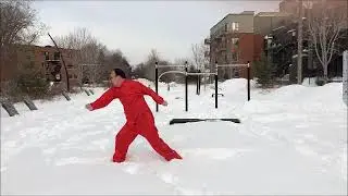 Easy learning Shaolin Cross Fists  轻松学会少林十字战拳