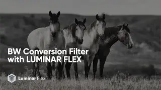 BW Conversion Filter with Luminar Flex