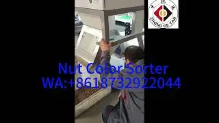 Optical Color Sorter for Nut Cashews Pistachio Pinenuts Color Sorting Machine Nuts Processing