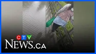 Woman in viral littering video fined $1,000