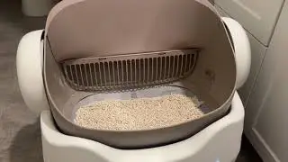 Customer Reviews: Watch Decent open top cat litter box