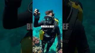 Chasing Giants: The Underwater Photo Quest