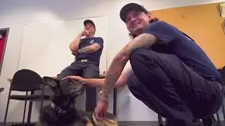 German Shepherd gets second chance thanks to quick action from Florida firefighters