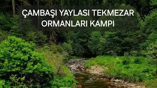 ORDU ÇAMBAŞI YAYLASI/ TEK MEZAR ORMANLARI KAMPI