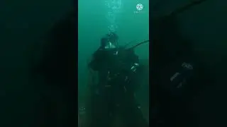 diving into the heavens | divers day | | underwater world| #happydiversday #divingfun #enjoywater