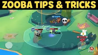 Zooba Tips & Tricks to Kill High Levels & Fast Growth