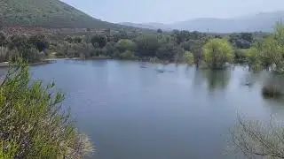 Amazing amount of new water at my favorite birding spot in Alpine, CA