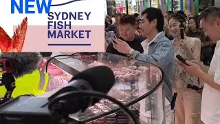 It&rsquo;s a catch! World&rsquo;s best fish market welcomes over 230,000 visitors in its first week
