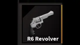 I FOUND THIS USER WITH`R6 REVOLVER!!