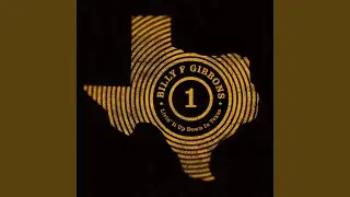 Livin' It Up Down In Texas
