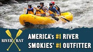 #1-Rated Rafting in the Smoky Mountains | River Rat Whitewater Rafting