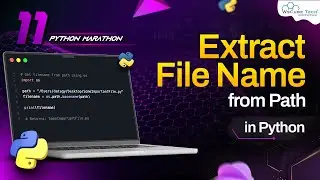 How to Get the File Name From the File Path | Python Programming Tutorial
