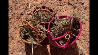 A Gathering Basket, Issue 12 - Ash:  Making Juniper Ash with DEAP Students