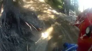 4mil banshee doing   tree shots @ Boxcar in Coos Bay dunes Oregon