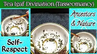 Timeless Tasseomancy Reading🙂💚☯️🌈🌌✨