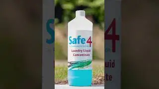 Safe4 NZ, the Disinfection Solution - Cat Care Rangiora, advocates for cat and kitten welfare