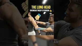 The Long Head Overhead Tricep Extension 💪 #lifting #gym #bodybuilding