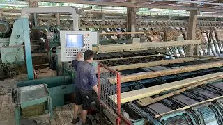 Diba Machinehandel l HIT automatic edger and resaw line