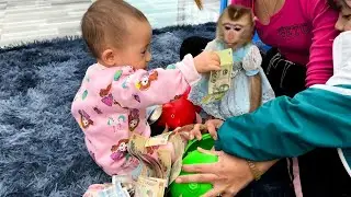 Обезьянки Кака и Дием отняли у мамы кучу денег, чтобы поиграть.