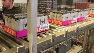 pallelaster