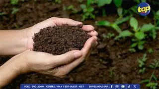 Production agro-alimentaire : Les d&eacute;fis de l&rsquo;acc&egrave;s &agrave; la terre pour les planteurs