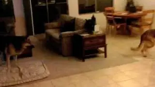 Palm Pre - Time lapse camcorder application