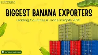 Biggest Banana Exporters: Leading Countries & Trade Insights 2025