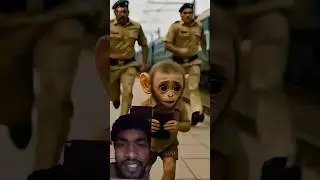 Baby monkey 🐒🐵 #cute #viral #funny #tiktok #trending #animals #viralshort